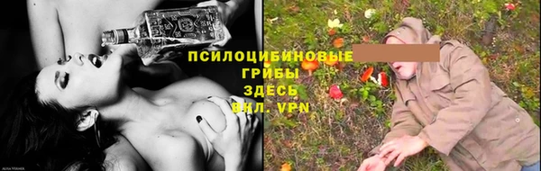 не бодяженный Вяземский