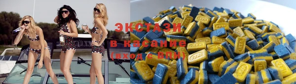 стаф Вязьма