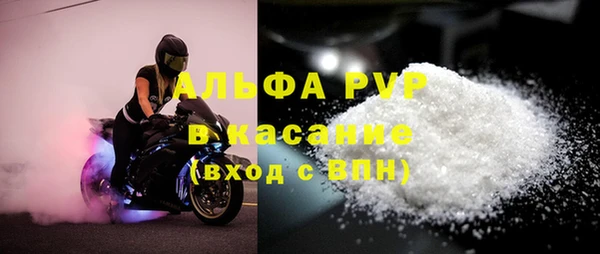 стаф Вязьма