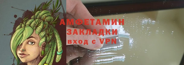 стаф Вязьма