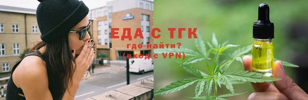 стаф Вязьма