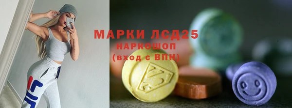 стаф Вязьма