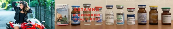 стаф Вязьма