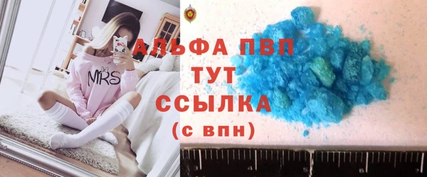 стаф Вязьма
