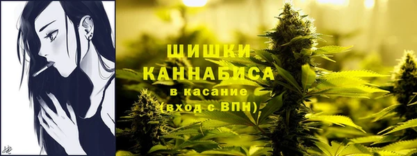 стаф Вязьма