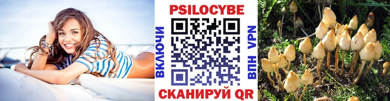 Галлюциногенные грибы прущие грибы  Новоржев 